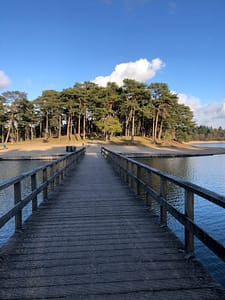 Henschotermeer